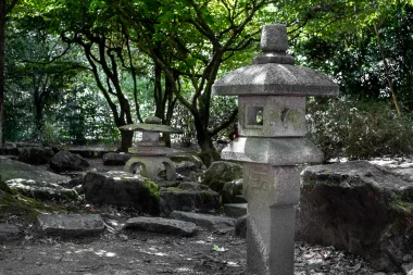 Parc Floral de Bordeaux (3).